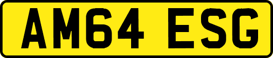 AM64ESG