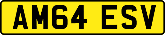 AM64ESV