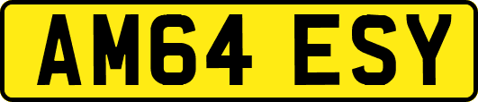 AM64ESY