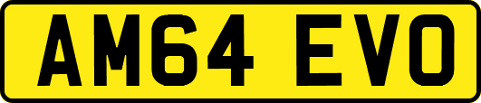 AM64EVO