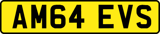 AM64EVS