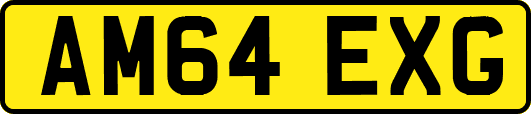 AM64EXG