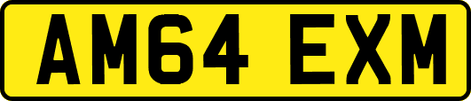 AM64EXM