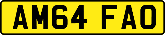 AM64FAO