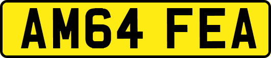 AM64FEA