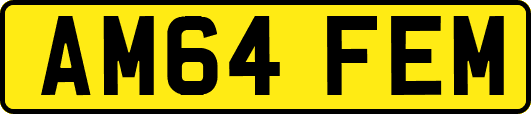 AM64FEM
