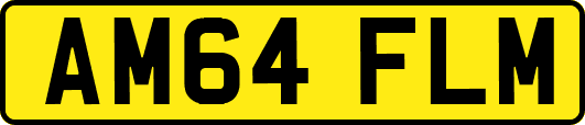 AM64FLM
