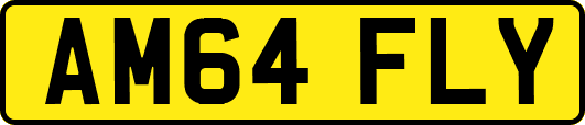 AM64FLY