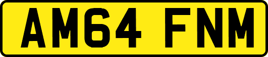 AM64FNM