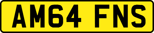 AM64FNS