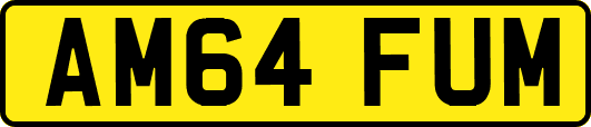 AM64FUM