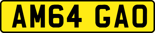 AM64GAO
