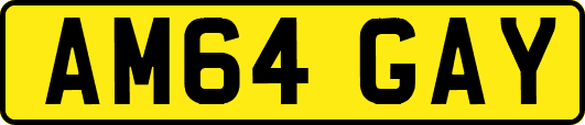 AM64GAY