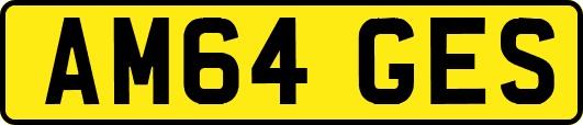 AM64GES