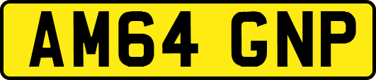 AM64GNP