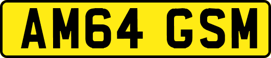 AM64GSM