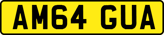 AM64GUA