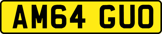 AM64GUO