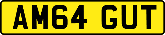 AM64GUT