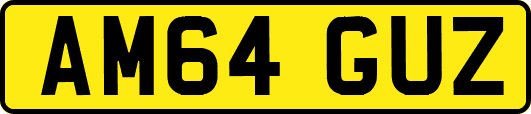AM64GUZ