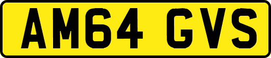 AM64GVS