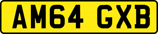AM64GXB