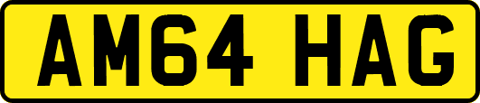 AM64HAG