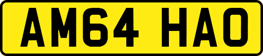 AM64HAO