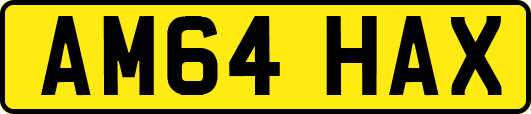 AM64HAX