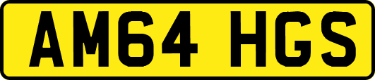 AM64HGS