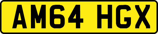 AM64HGX