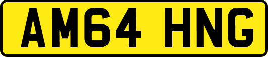 AM64HNG