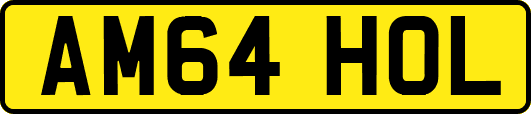 AM64HOL