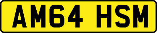AM64HSM
