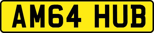 AM64HUB