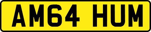 AM64HUM