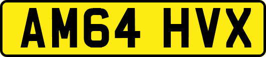 AM64HVX