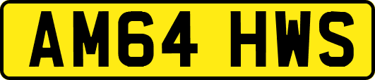 AM64HWS