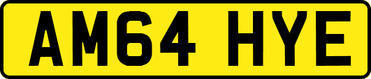 AM64HYE