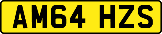 AM64HZS