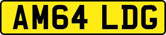 AM64LDG