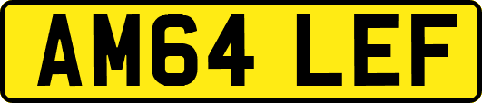 AM64LEF