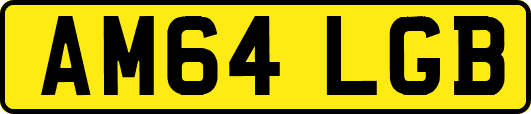 AM64LGB