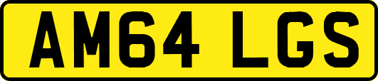 AM64LGS