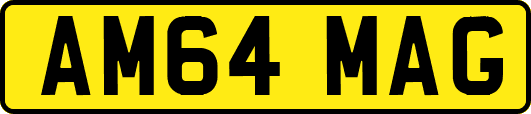 AM64MAG