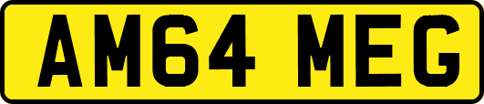 AM64MEG