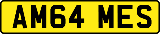 AM64MES