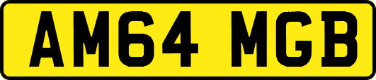 AM64MGB