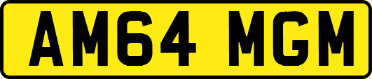 AM64MGM