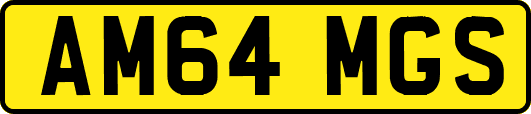 AM64MGS